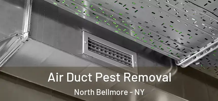  Air Duct Pest Removal North Bellmore - NY