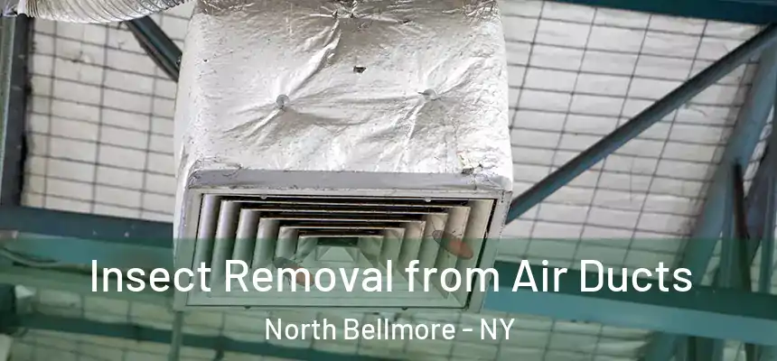 Insect Removal from Air Ducts North Bellmore - NY