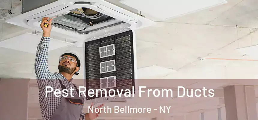  Pest Removal From Ducts North Bellmore - NY