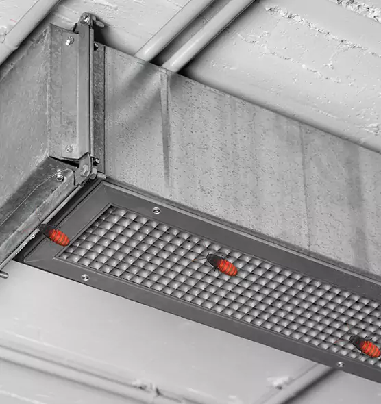 Affordable Insect Removal from Air Ducts in North Bellmore, NY