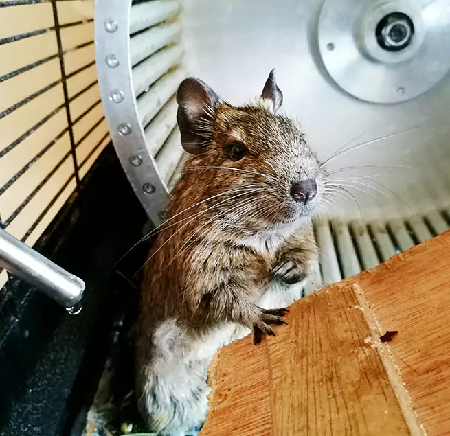 Why Homeowners & Businesses Trust Us North Bellmore, NY